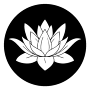 Logo de Mirobyte
