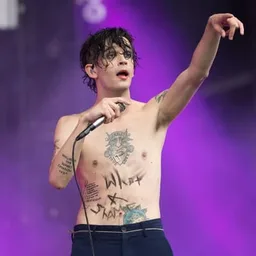 Logo de Exclusively The 1975