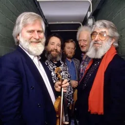Logo de Exclusively The Dubliners