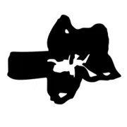Logo de CROP Radio