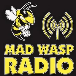 Logo de Mad Wasp Radio