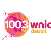 Logo de 100.3 WNIC