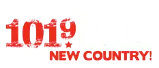 Logo de 101.9 The Bull