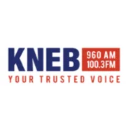Logo de 94.1 The Brand