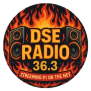 Logo de DSE Radio