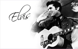 Logo de Elvis And Company