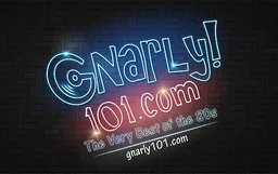 Logo de Gnarly 101