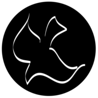 Logo de Loving Grace Radio