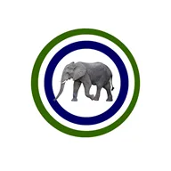 Logo de Pan African Allstars Radio
