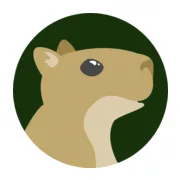 Logo de Robin Hood Radio - WHDD 91.9 FM