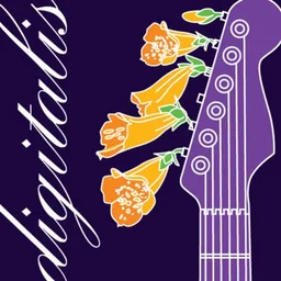 Logo de SomaFM Digitalis (128k MP3)