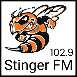 Logo de Stinger FM 102.9 - KITY