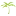Logo de the Oasis Radio Network