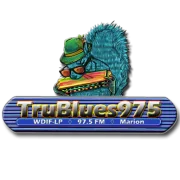 Logo de TruBlues975 WDIF-LP