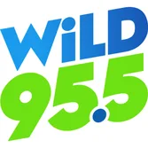 Logo de WiLD 95.5