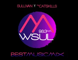 Logo de WSUL