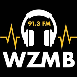 Logo de WZMB 91.3 FM