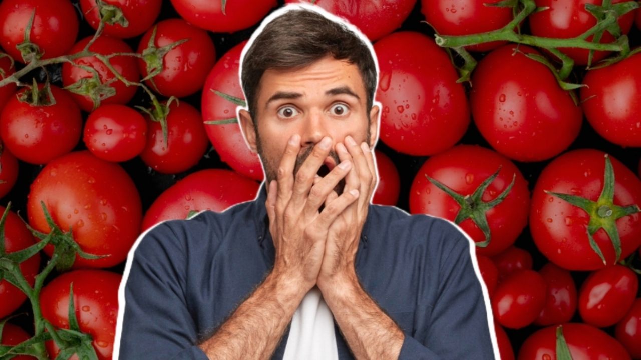 Retiran del mercado nuevas cajas de TOMATES por estar contaminadas con peligrosa bacteria que puede causar la muerte