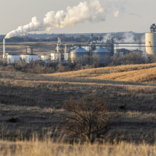 Biofuels policy has been a failure for the climate, new report claims