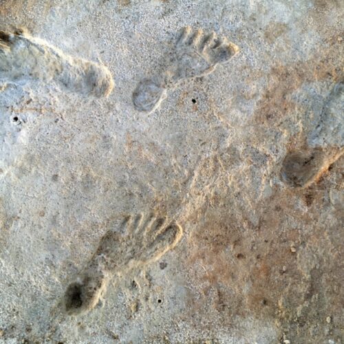 New dating for White Sands footprints confirms controversial theory